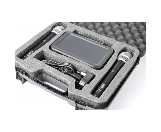 Радиосистема Vonyx WM73