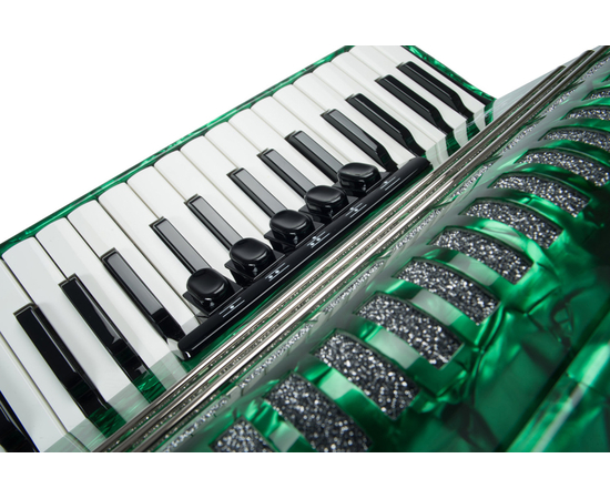 Баян Weltmeister Romance 602