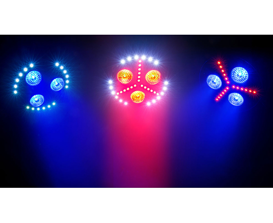 Светодиодная RGB + UV "заливка" + стробоскоп CHAUVET FXPAR3