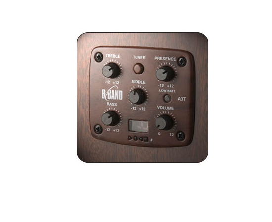 Электроакустическая гитара S&P 028962 - Woodland Cedar A3