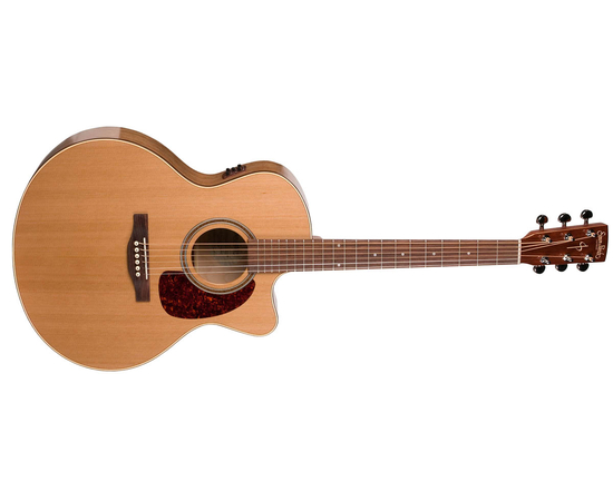 Электроакустическая гитара S&P 033751 - CW GT Mini Jumbo Cedar A3T with Bag - 94143 за 0 грн. | 4Club