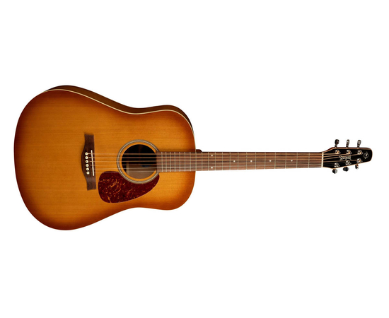 Акустическая гитара SEAGULL 029822 - Entourage Rustic - 129623 за 0 грн. | 4Club