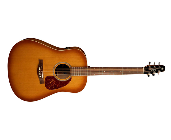 Электроакустическая гитара SEAGULL 029839 - Entourage Rustic QI - 94334 за 0 грн. | 4Club