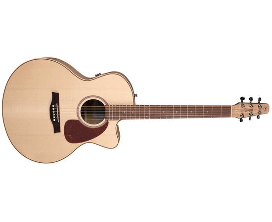 Электроакустическая гитара SEAGULL 032471 - Performer CW MJ Flame Maple HG QIT with Bag - 109831 за 0 грн. | 4Club