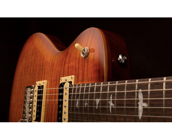 Электрогитара PRS TRCVS2