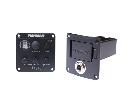 Электроакустическая гитара SEAGULL 039555 - Walnut Isyst