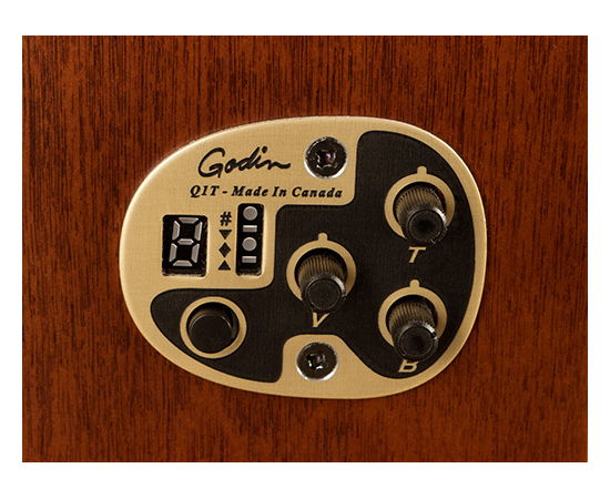 Электроакустическая гитара SEAGULL 040414 - Entourage Rustic CH CW QIT