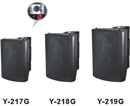 Настенная акустическая система Younasi Y-218G - 7334 за 0 грн. | 4Club