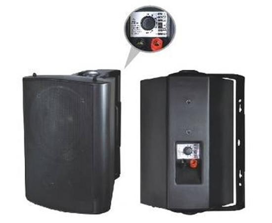 Настенная акустическая система Younasi Y-218G