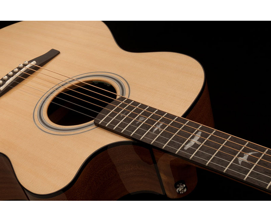 Акустическая гитара PRS A20ENA