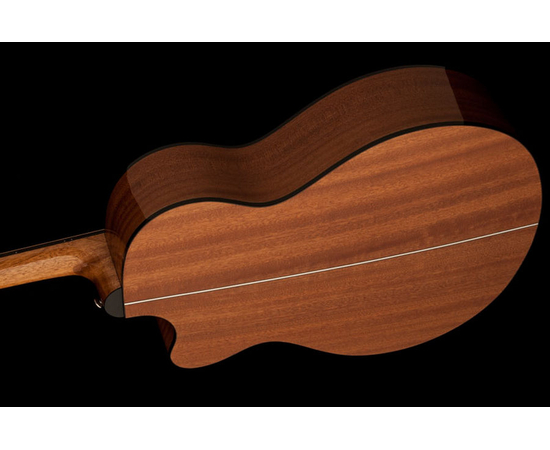 Акустическая гитара PRS A20ENA