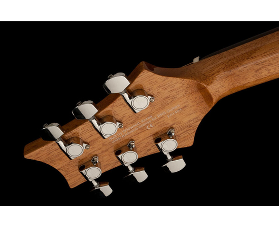 Акустическая гитара PRS A20ENA