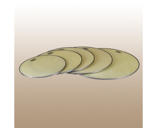 Пластик для литавры Adams Remo Renaissance 4VLRSPAN20 - 129965 за 0 грн. | 4Club