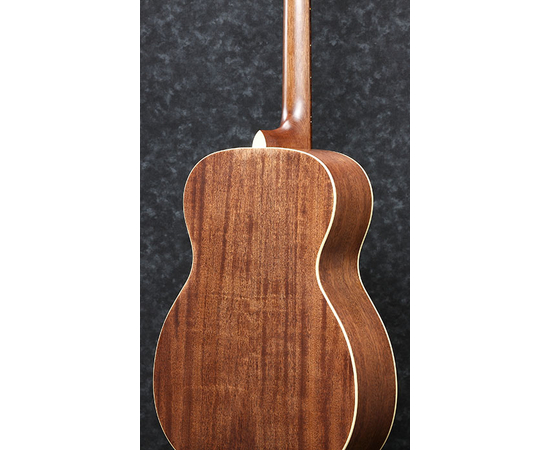 ​Акустическая гитара IBANEZ AVC11 ANS