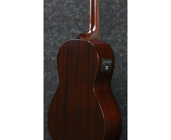 ​Электроакустическая бас-гитара IBANEZ AVNB1E BV