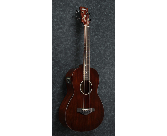 ​Электроакустическая бас-гитара IBANEZ AVNB1E BV