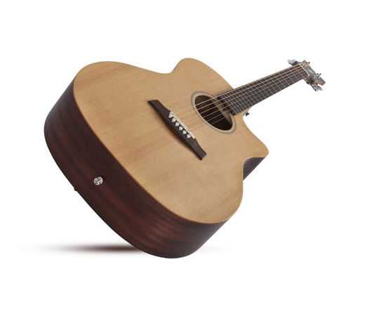 Акустическая гитара SCHECTER DELUXE ACOUSTIC NS