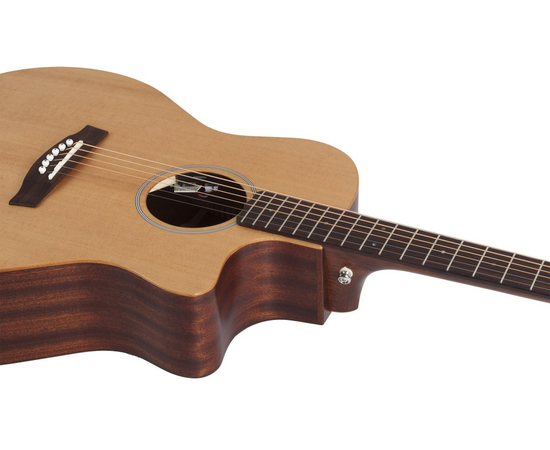 Акустическая гитара SCHECTER DELUXE ACOUSTIC NS