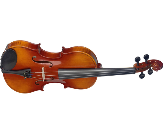 Скрипка Stagg VL-4/4 - 131411 за 0 грн. | 4Club
