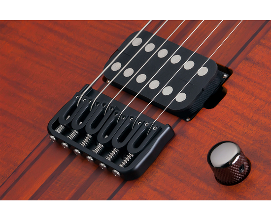 Электрогитара SCHECTER BANSHEE ELITE-6 CEP