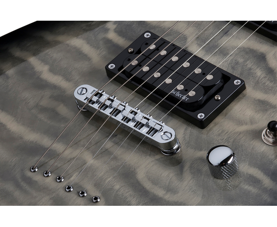 Электрогитара SCHECTER C-6 PLUS CB