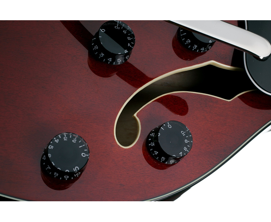 Полуакустическая электрогитара SCHECTER CORSAIR W/BIGSBY GWAL