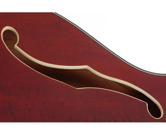 Полуакустическая электрогитара SCHECTER CORSAIR W/BIGSBY GWAL