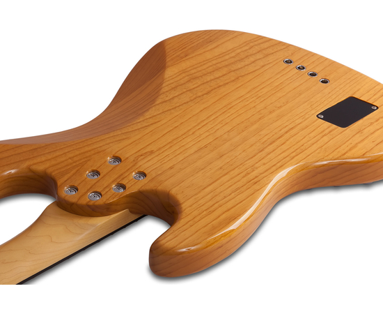 Бас-гитара SCHECTER DIAMOND-J PLUS AN