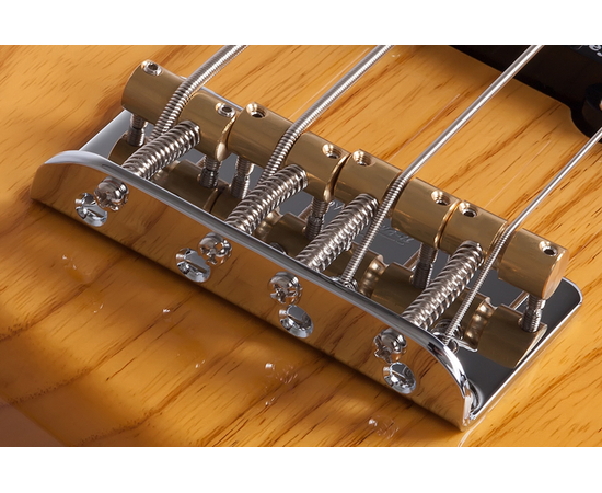 Бас-гитара SCHECTER DIAMOND-J PLUS AN