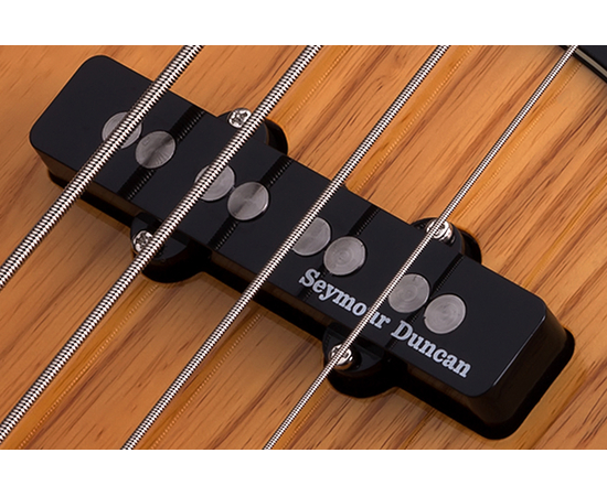 Бас-гитара SCHECTER DIAMOND-J PLUS AN