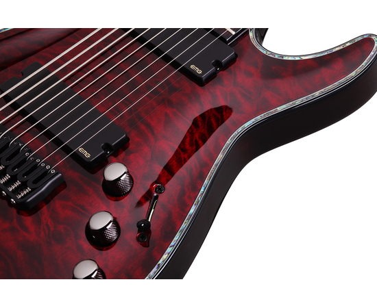 Девятиструнная электрогитара SCHECTER HELLRAISER C-9 BCH
