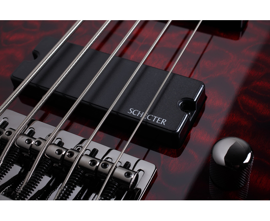 Бас-гитара SCHECTER STILETTO EXTREME-5 BCH