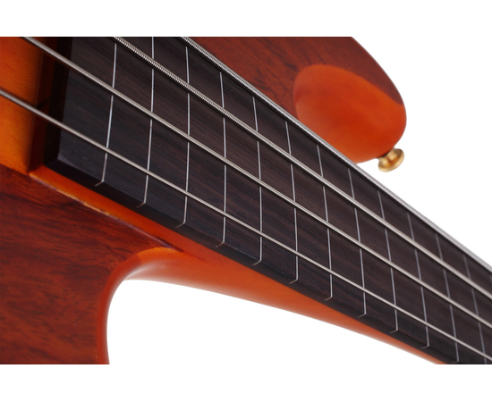 Безладовая бас-гитара SCHECTER STILETTO STUDIO-4 FL HSN