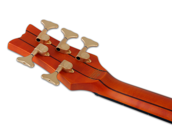 Пятиструнная безладовая бас-гитара SCHECTER STILETTO STUDIO-5 FL HSN