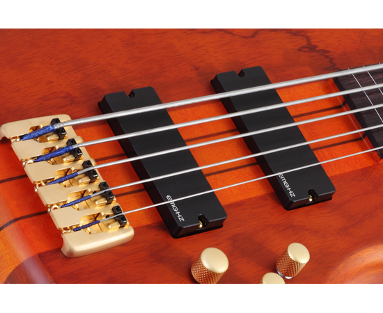 Пятиструнная безладовая бас-гитара SCHECTER STILETTO STUDIO-5 FL HSN ...