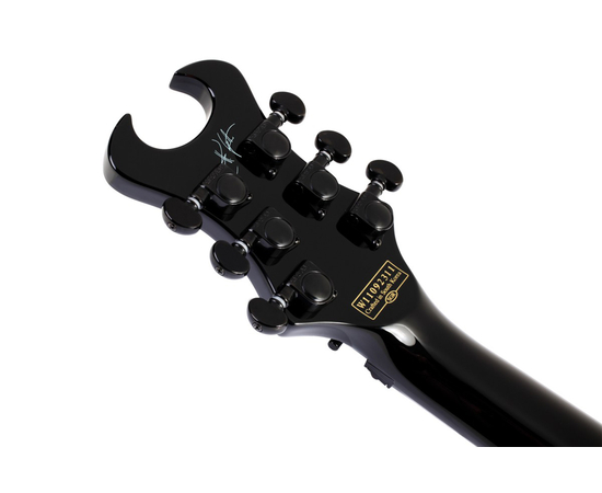 Электрогитара SCHECTER SYNYSTER GATES CUSTOM-S BLK/SIL