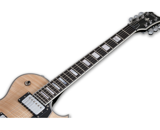 Электрогитара SCHECTER Solo II Custom GNAT