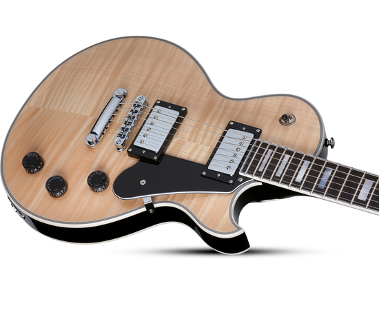 Электрогитара SCHECTER Solo II Custom GNAT