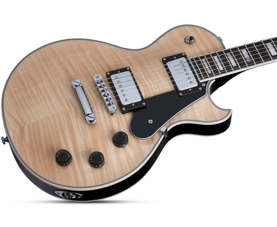 Электрогитара SCHECTER Solo II Custom GNAT