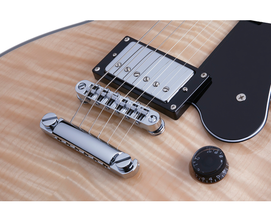 Электрогитара SCHECTER Solo II Custom GNAT