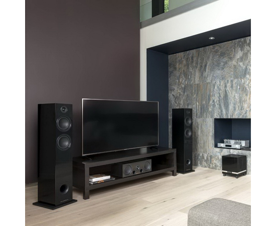 Сабвуфер Triangle THETIS 320 ​Black