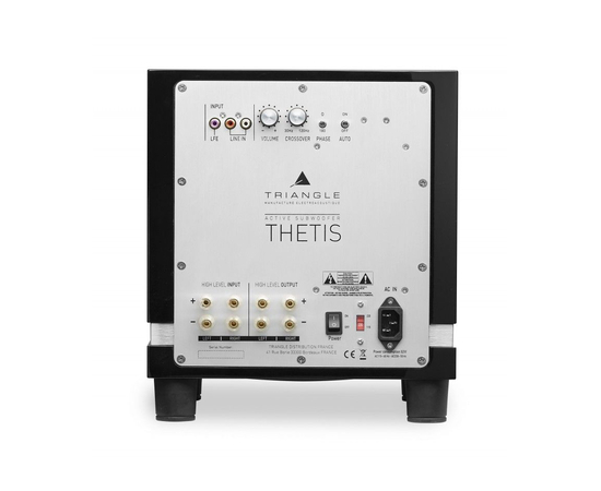 Сабвуфер Triangle THETIS 320 ​Black