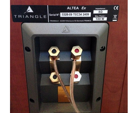 Напольная акустика Triangle ALTEA EX Black