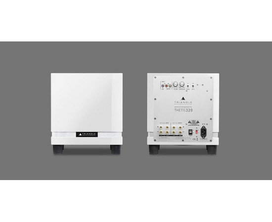 Сабвуфер Triangle THETIS 320 White​ - 131536 за 38893 грн. | 4Club