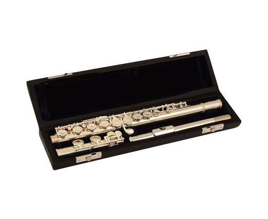 Флейта GEWA Roy Benson FL-302E G-RB700416