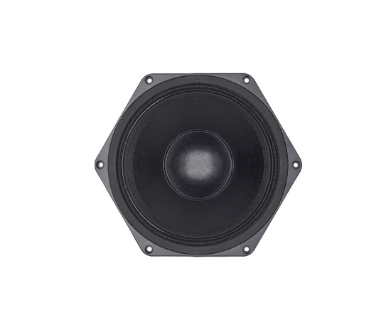 ​НЧ-динамик B&C SPEAKERS 10NSM76