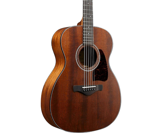 Акустическая гитара IBANEZ AVC9-OPN