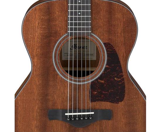 Акустическая гитара IBANEZ AVC9-OPN