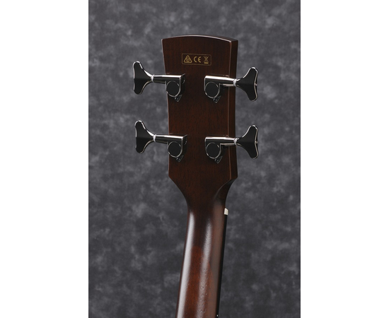 Электроакустическая бас-гитара IBANEZ AVNB1FE
