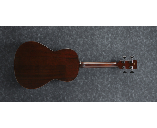 Электроакустическая бас-гитара IBANEZ AVNB1FE